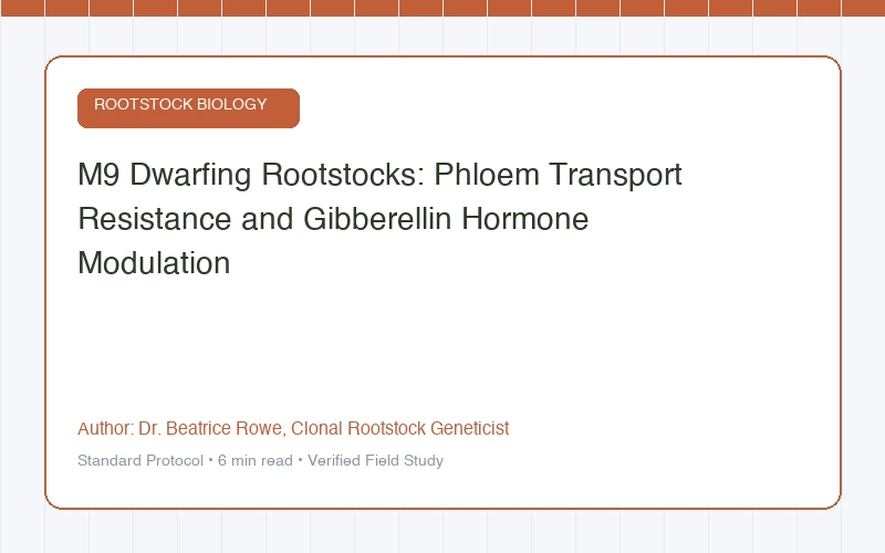 M9 Dwarfing Rootstocks: Phloem Transport Resistance and Gibberellin Hormone Modulation
